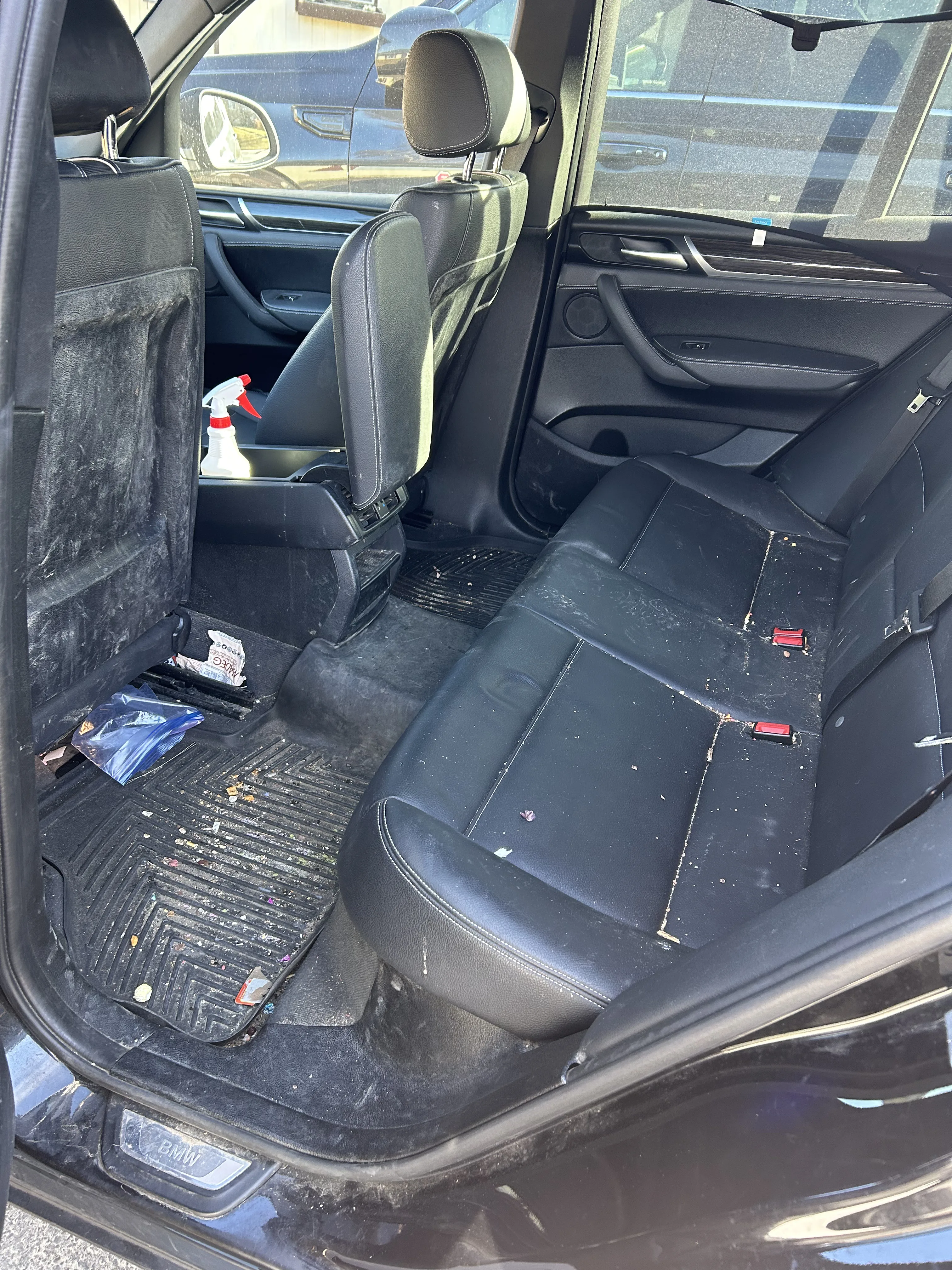 Before detailing - vehicle exterior